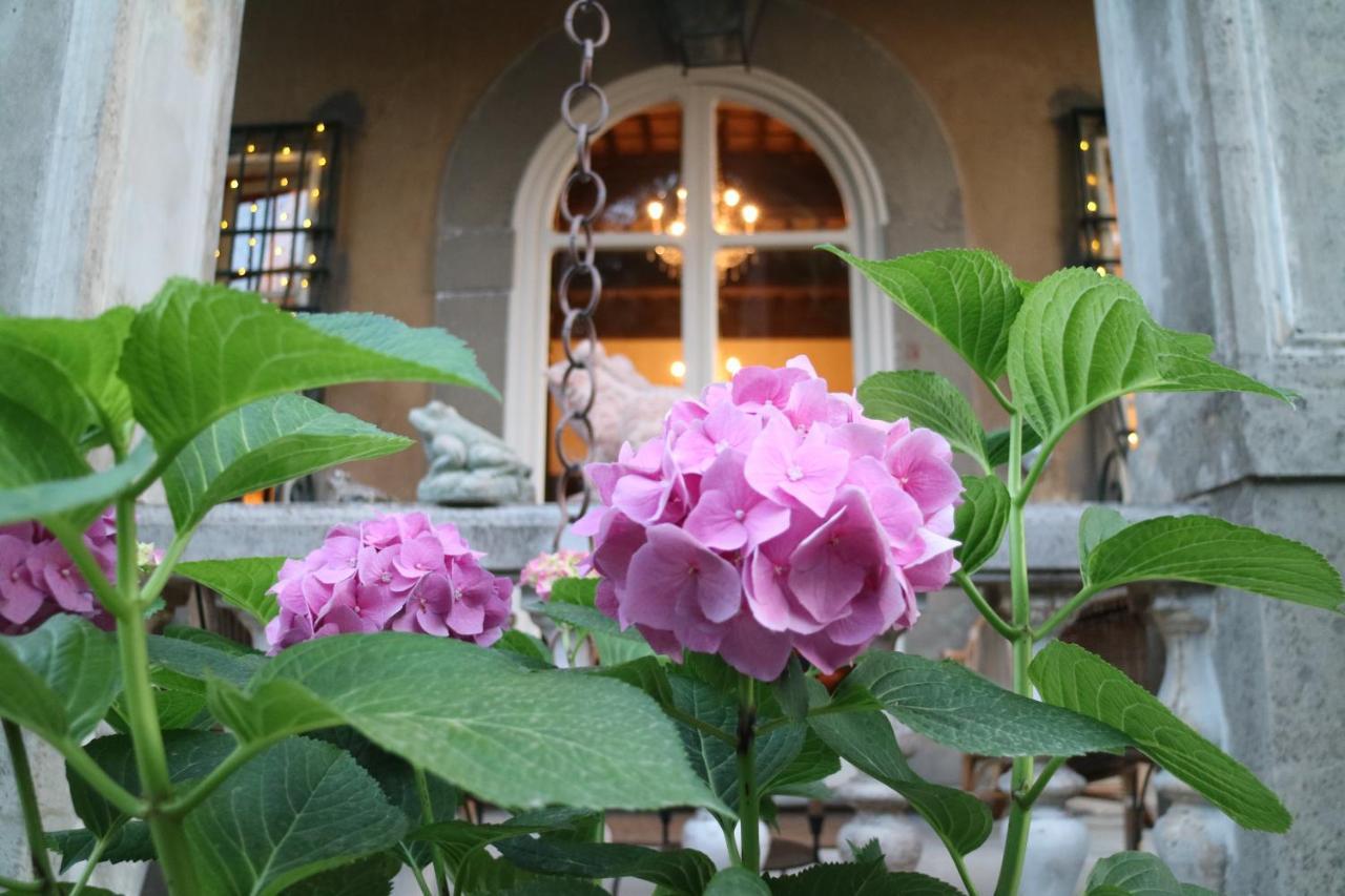 Pugnano Borgo Studiati Residenza D'Epoca Bed & Breakfast エクステリア 写真